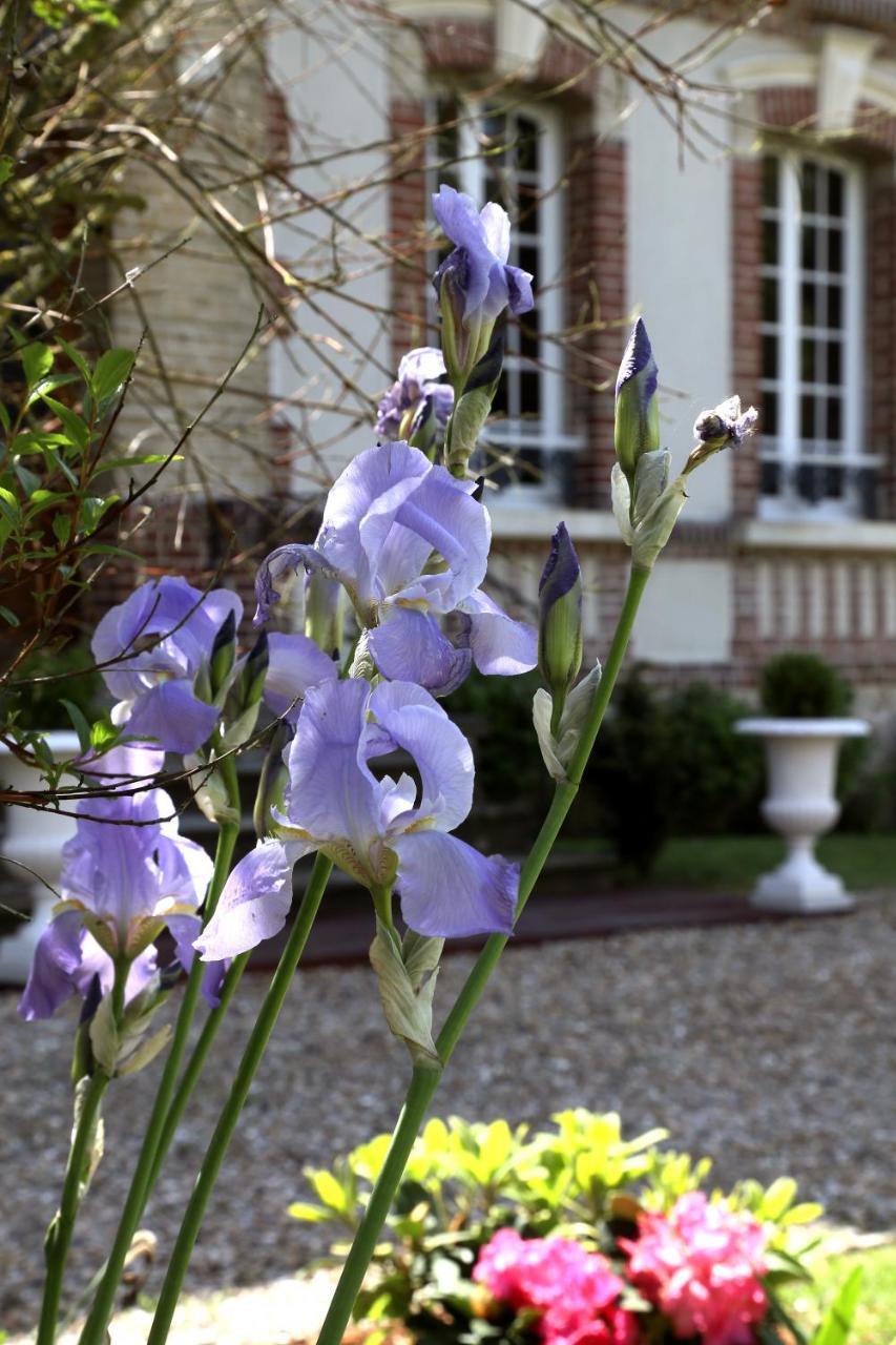 Manoir Le Mesnil Bed and Breakfast Saint-Martin-aux-Chartrains Exterior foto